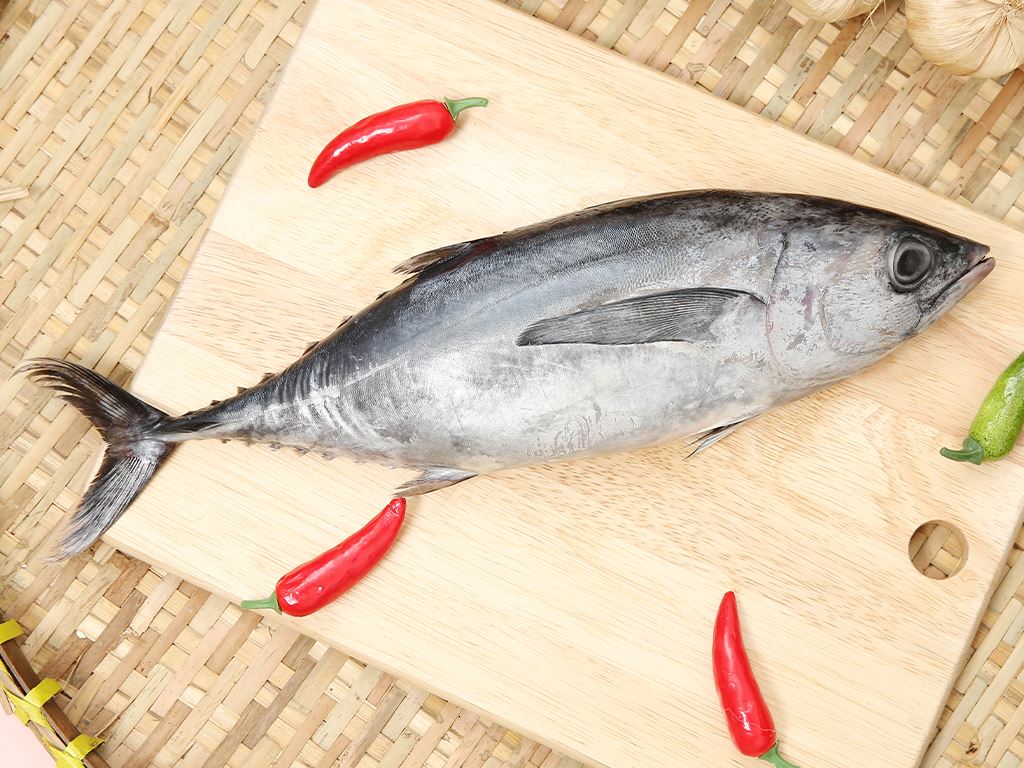 máy tách thịt cá ngừ giá rẻ BNT Machinery